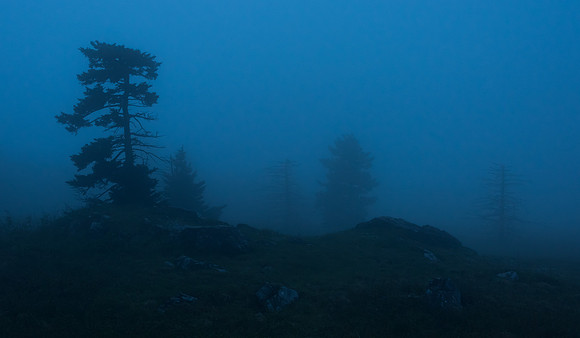 Whitetop Mountain Virginia