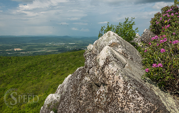 White Rocks Trail Whytheville Va