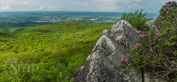 White Rocks Trail Whytheville Va