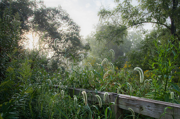 Washington County Virginia
