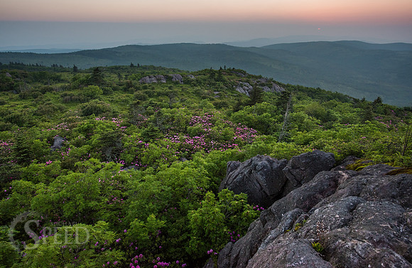 hiking mount rogers