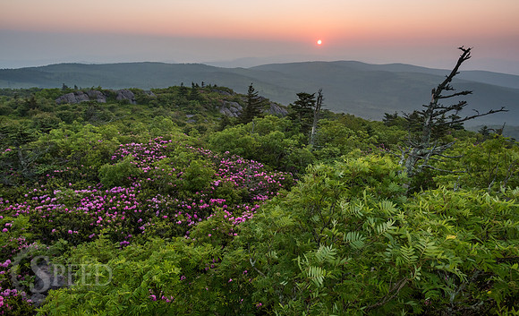 hiking mount rogers