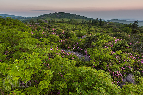 hiking mount rogers