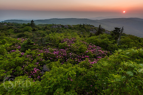 hiking mount rogers