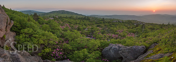 hiking mount rogers