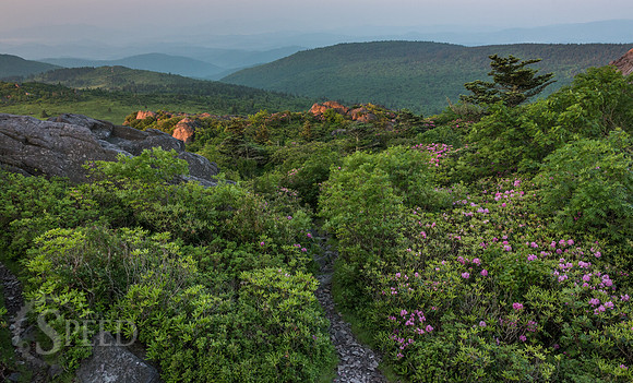 hiking mount rogers