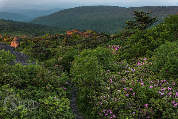 hiking mount rogers