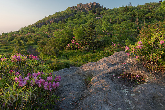 hiking mount rogers