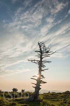 hiking mount rogers