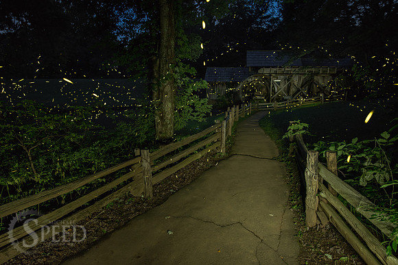 Mabry Mill Lightning Bugs