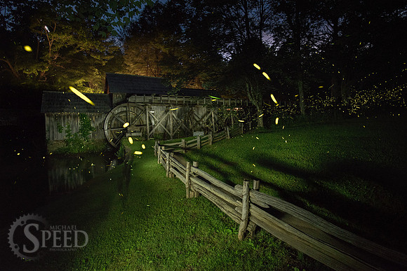 Mabry Mill Lightning Bugs