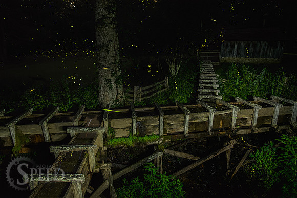 Mabry Mill Lightning Bugs
