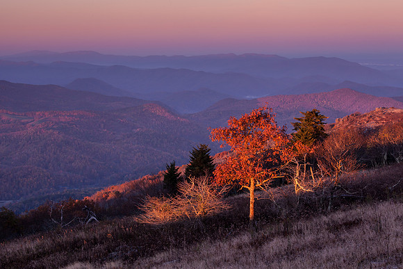 WhiteTop Mountain