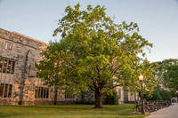 Virginia Tech Downtown Blacksburg