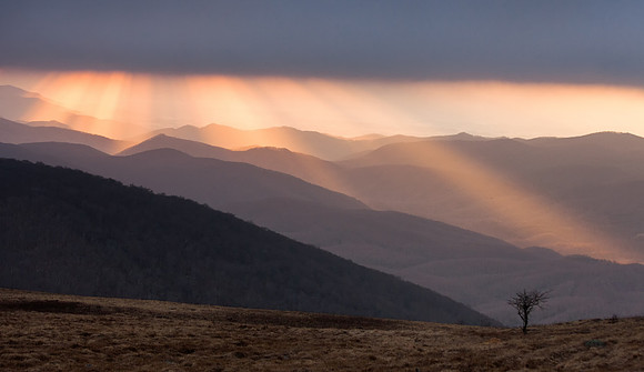 WhiteTop Mountain