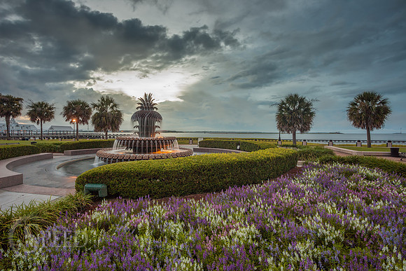 Pineapple Fountain Charleston