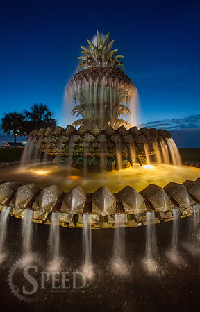 Pineapple Fountain Charleston