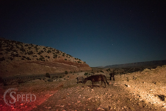 Bighorn Canyon Kayak Trip