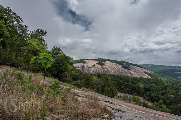 View of Stone Mountain State Park