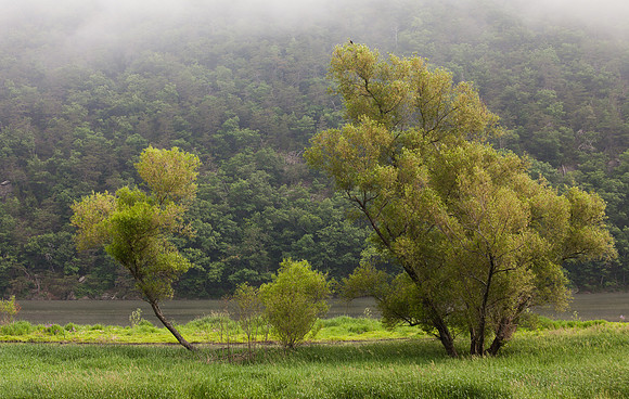 New River Trail State Park