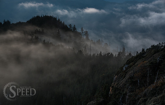 Mt. Leconte hike