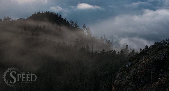 Mt. Leconte hike
