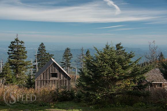 Mt. Leconte hike