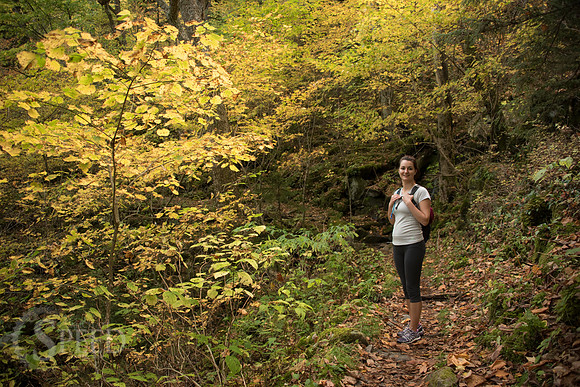 Mt. Leconte hike