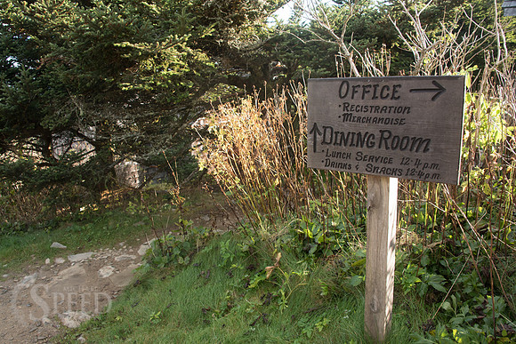 Mt. Leconte hike