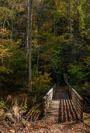 Hungry Mother State Park
