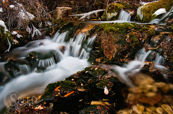 Upper Layout Creek