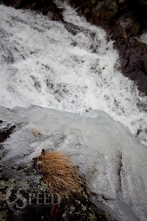 Wilson Creek Ice