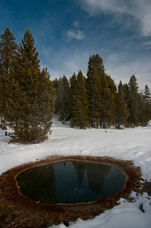 A small geyser pool