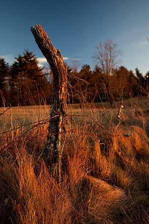 Rocky Knob Recreation Area