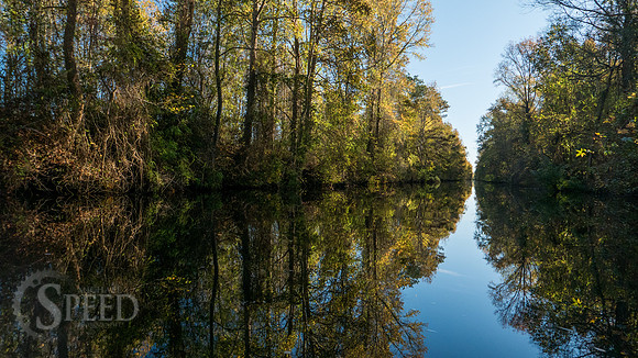 Kayak Trip to Lake Drummond in Great Dismal Swamp
