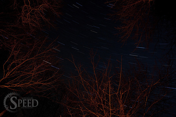 Campfire lit trees under startrails