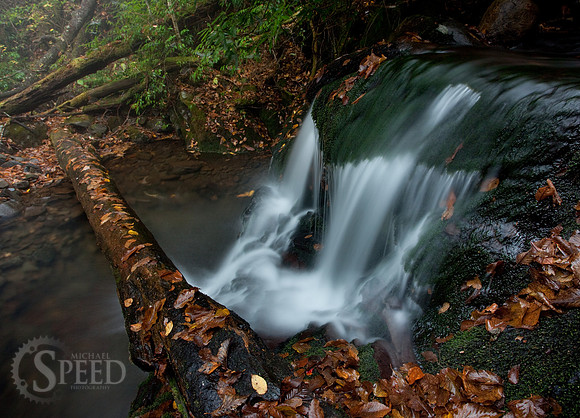 Lower section of Grotto Falls.