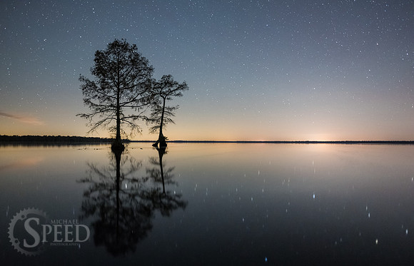 Kayak Trip to Lake Drummond in Great Dismal Swamp