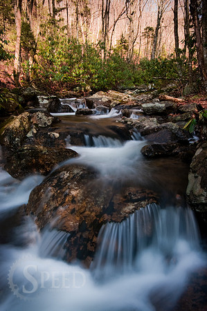 Morning at Cabin Creek