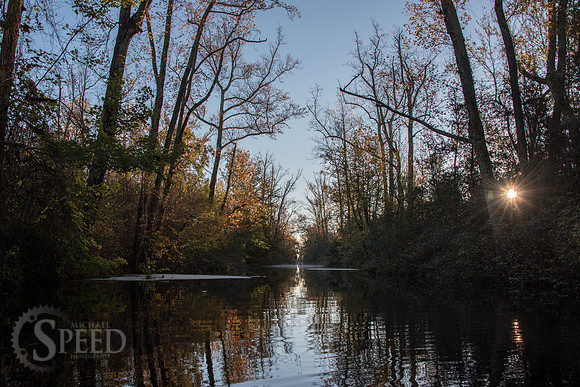 Kayak Trip to Lake Drummond in Great Dismal Swamp