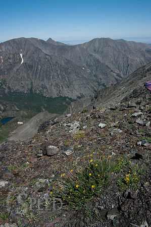 View from near Crazy Peak.  Meadows of wildflowers.