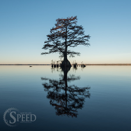 Kayak Trip to Lake Drummond in Great Dismal Swamp