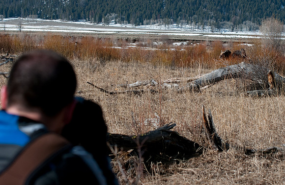 Photographer taking photos of moose in Lamar Valley