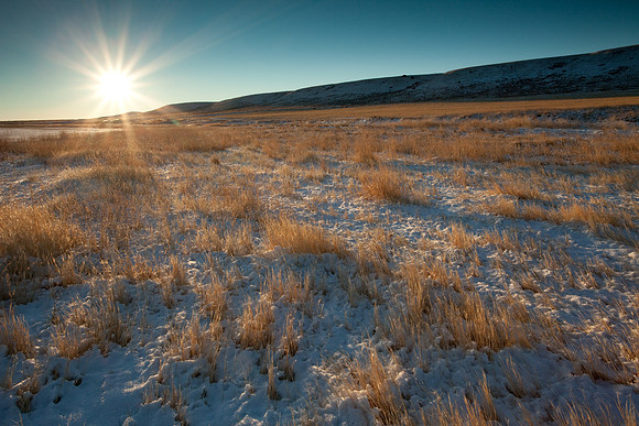 A field near Big Lake