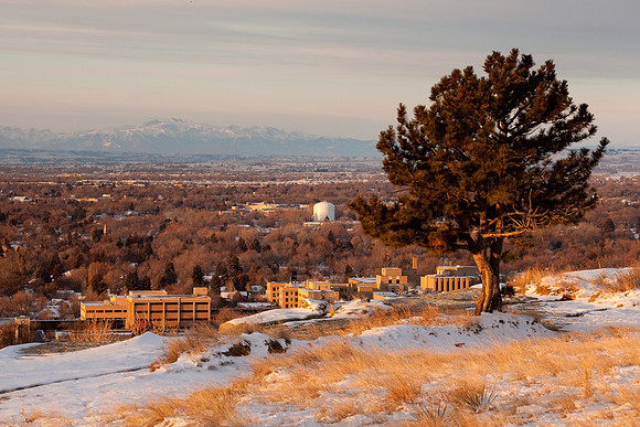 A tree on the rimrocks of Billings, with the Beartooth Mountains in the background.