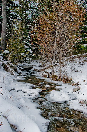A small creek in the Crazy Mountains.