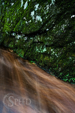 A mossy rock on the edge of Widows Creek.