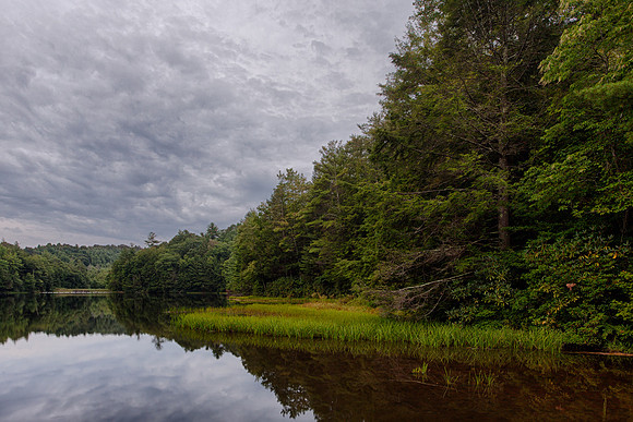 Beartree Lake