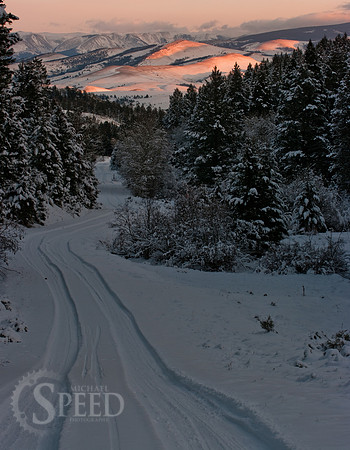 Forest road north of Big Timber(near Harlotown)