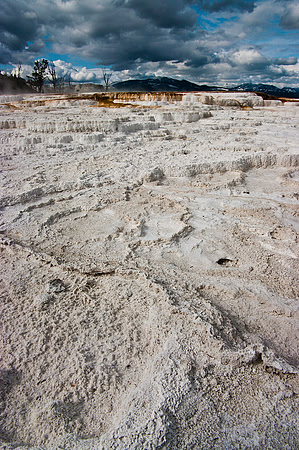 Formations at Mammoth Hot Springs